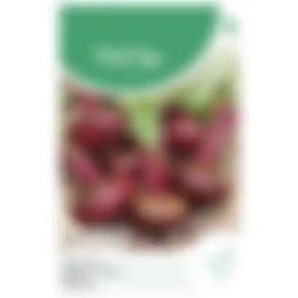 Horti Tops Bieten Egyptische platronde