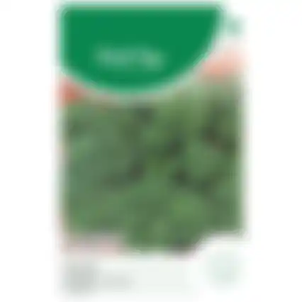 Horti Tops Boerenkool Westlands Herfst laat type