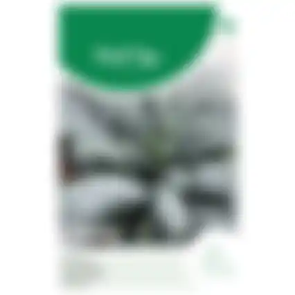 Horti Tops Palmkool Nero di Toscane