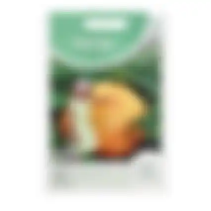 HT Pompoenen Atlantic Giant