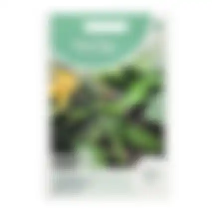 Horti Tops Courgette black forest klimmend