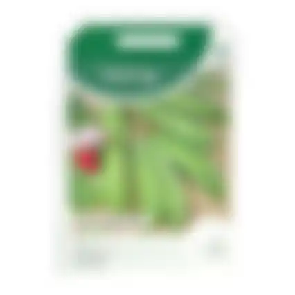 Horti Tops Peulen grijze roodbloeiende
