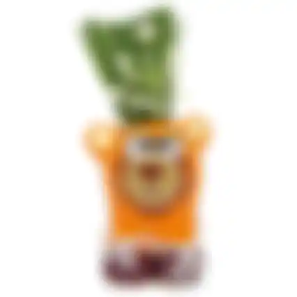 Grow gifts Munakuppi leeuw