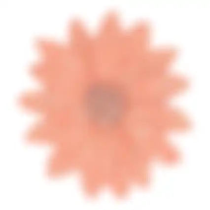 Bloem 13cm 2ass