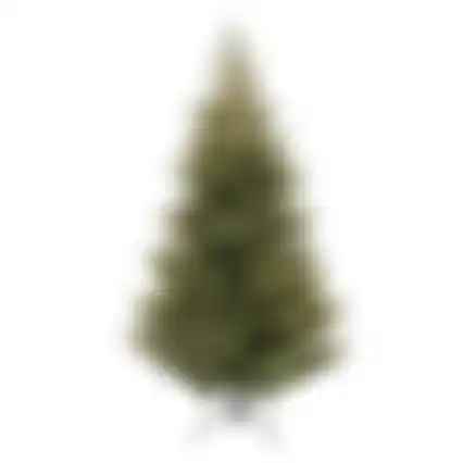 Kerstboom Flavik