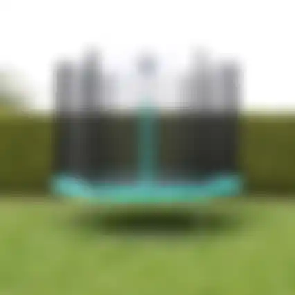 Trampoline + net  Ø365 cm VCB Sky Prof