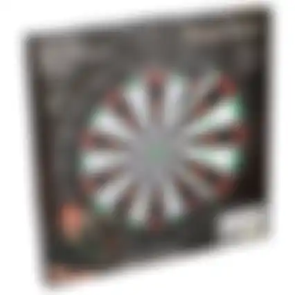 Dartboard 45cm 2.4kg Masterdarts