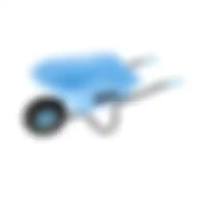 Kinderkruiwagen blauw