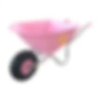 Kinderkruiwagen roze