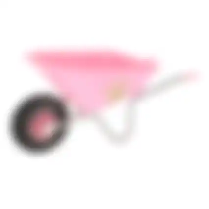 Kinderkruiwagen roze