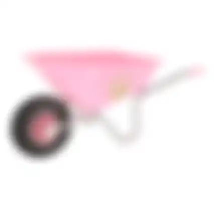 Kinderkruiwagen roze