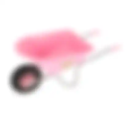 Kinderkruiwagen roze