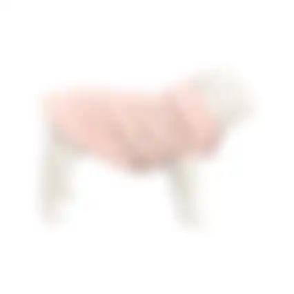 Jas H Coco