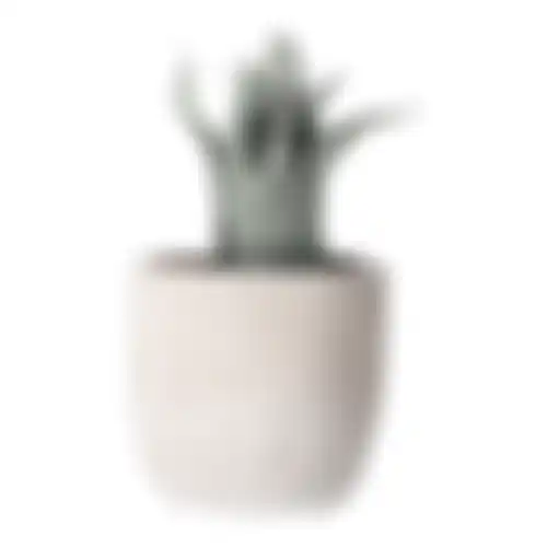 Vetplant deco 8cm ass