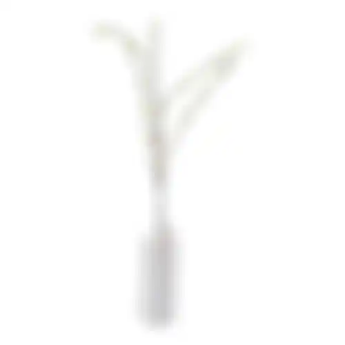 Plum blossom 110cm white