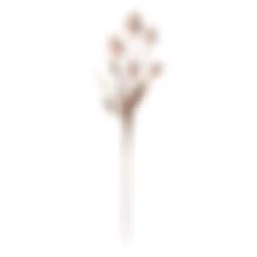 Tak papaver 105cm