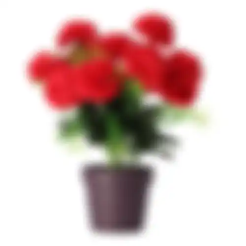 Plant M 3ass