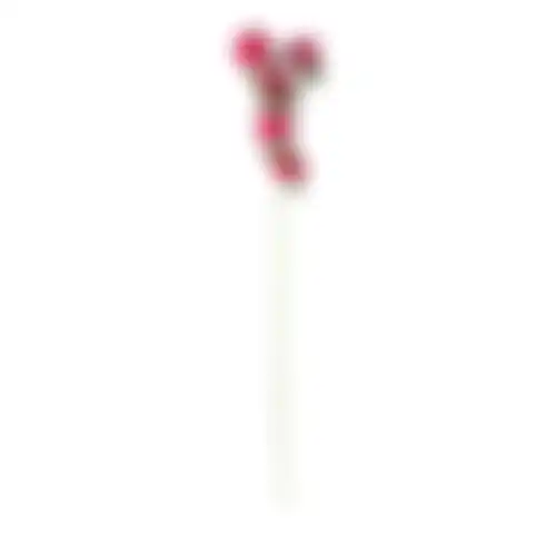 Bloem Ranunculus fuchsia 70cm