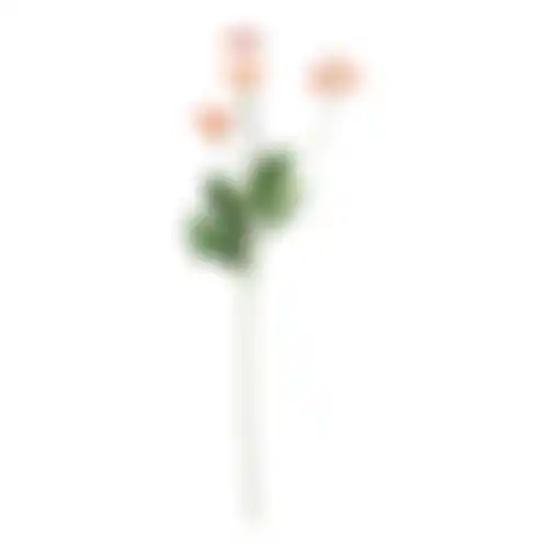Bloem Poppy roze 59cm