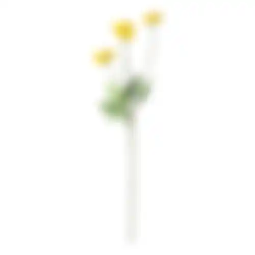 Bloem Poppy geel 59cm