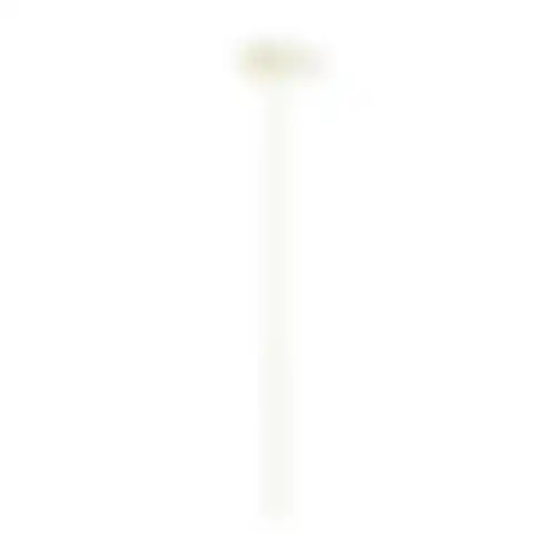 Bloem Gerbera wit 55cm