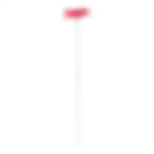 Bloem Gerbera fuchsia 55cm