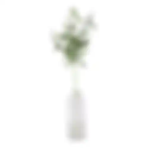 Olijftak 85cm