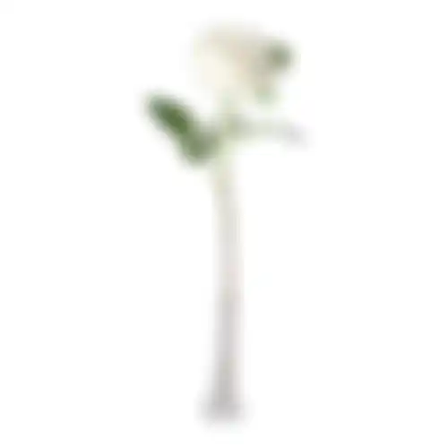 Bloem Peony wit 67cm