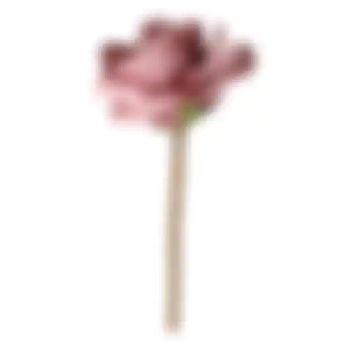 Rose foam pink 90cm