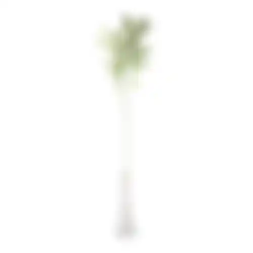 Tak Sofie 70cm groen