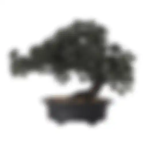 Bonsai in pot groen 28x15x23cm