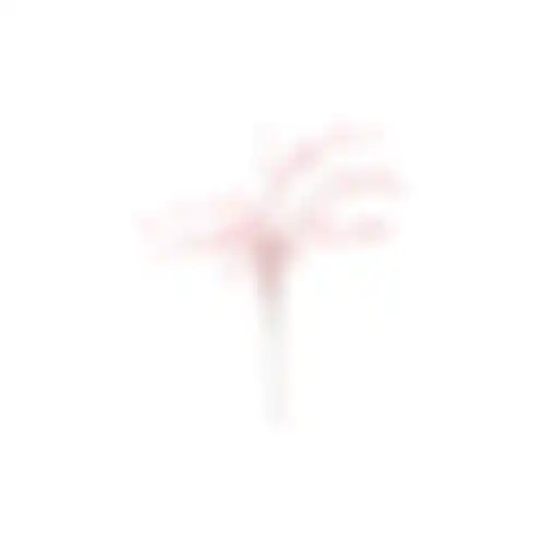 Tak blad roze 60cm