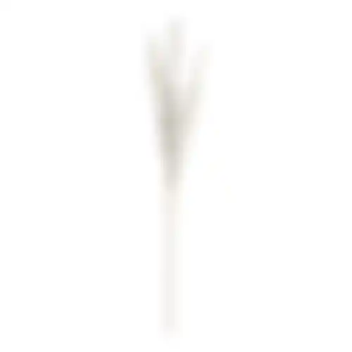 Tak katjes grijs 70cm