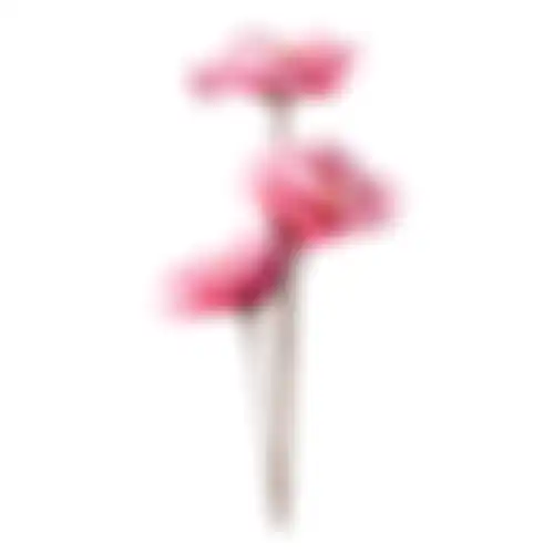 Tak blauw roze 102cm
