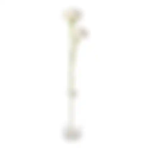 Tak klauw wit 87cm
