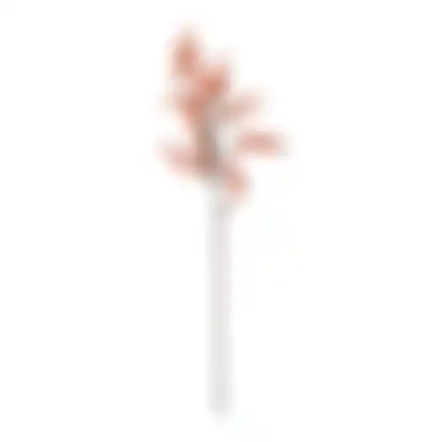 Tak bal roze 80cm