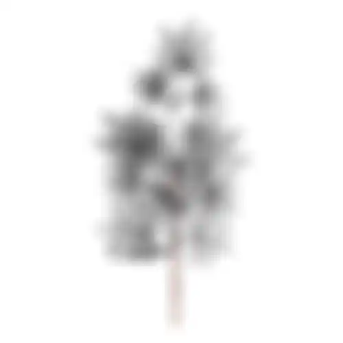 Tak maple leaf 76x25x3cm zwart NC