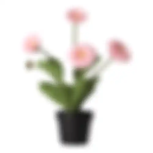 Bloem gerbera in pot 30cm