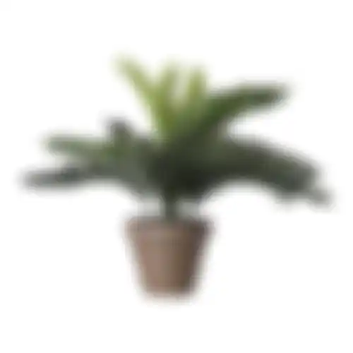 Palm Cycas in pot grijs 33x34cm