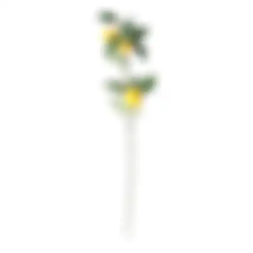 Tak citroen 20x18x74cm nc