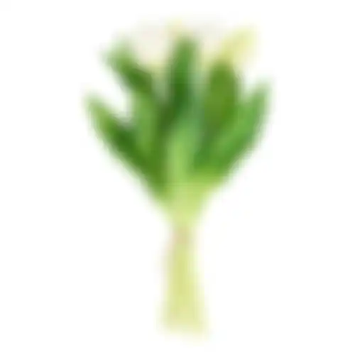 Tulp sil touch 32cm wit