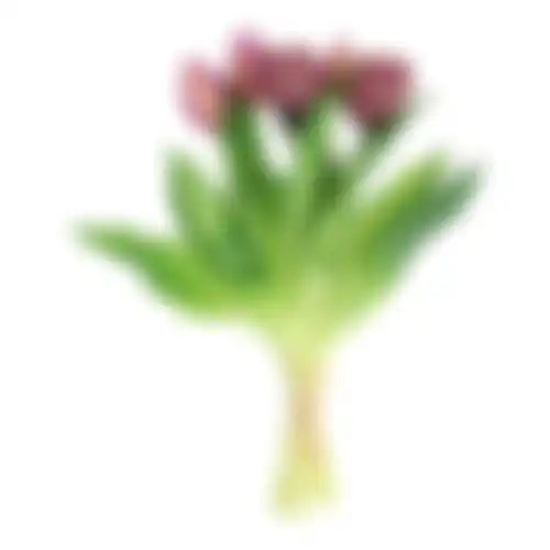 Tulp sil touch 32cm mauve