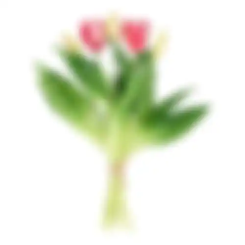 Tulp sil touch 32cm fuchsia