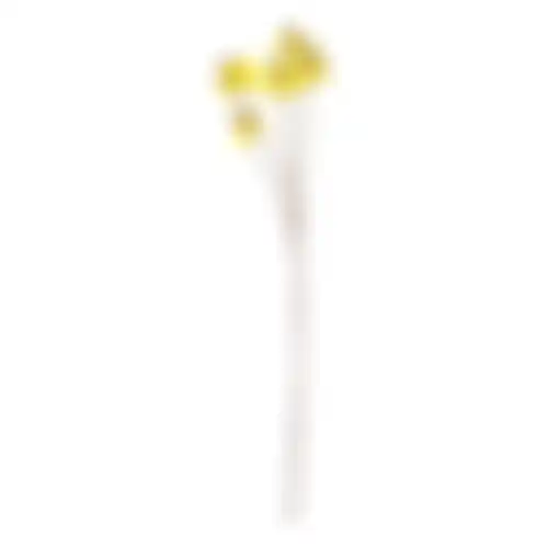 Coneflower geel 92cm