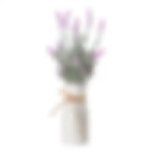 Lavendel in pot 32cm 2ass