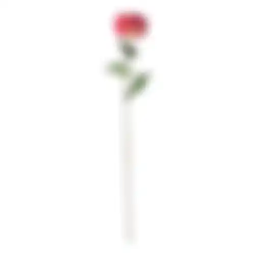 Dahlia op steel fuchsia 75cm