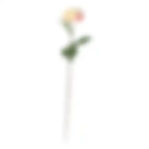 Dahlia op steel creme 75cm