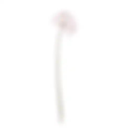 Dandelion op steel roze 50cm
