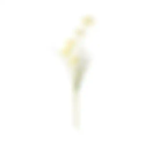 Bloem op steel creme 60cm