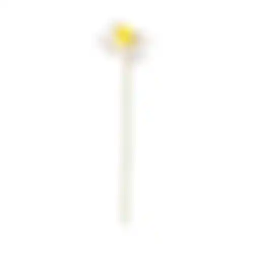 Narcis 39cm 2ass